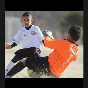 Meet your Posher, Oscar